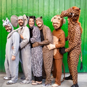 Costumi animali