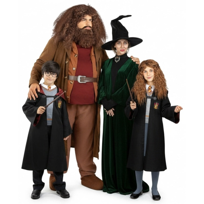 Gruppo Hogwarts di Harry Potter