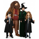 Gruppo Hogwarts di Harry Potter