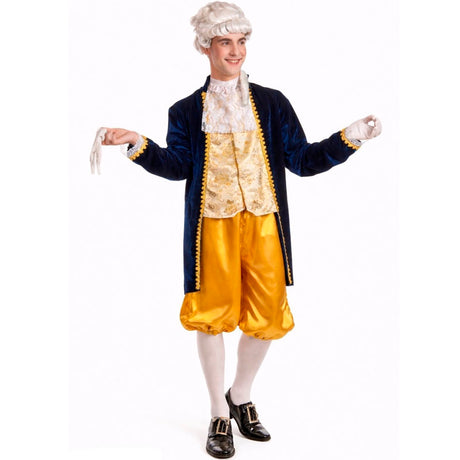 Disfraz de Luis XV