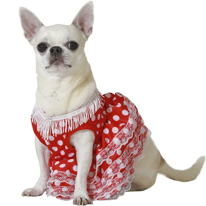 Set di costumi in feltro per cani: maschera, coda e guanti - Halloween per bambini - Italia