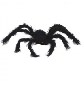 Ragno nero 50 cm per Halloween