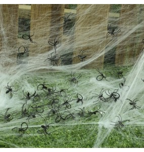 Sacchetto 50 ragni per Halloween