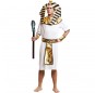 Costume da Re Egiziano per uomo